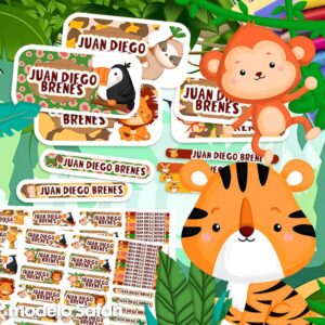 Safari - Custom Tags